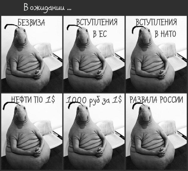 Ждун приколы