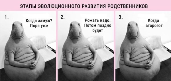 Мем когда родишь