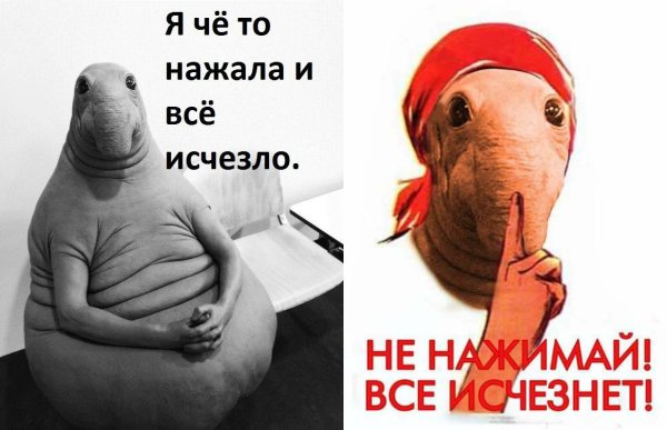 Я что - то нажала и все исчезло жлун