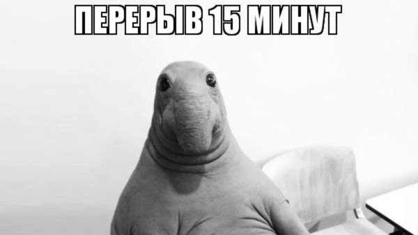 Я что-то нажала и все исчезло Ждун