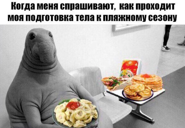 Шутки про правильное питание