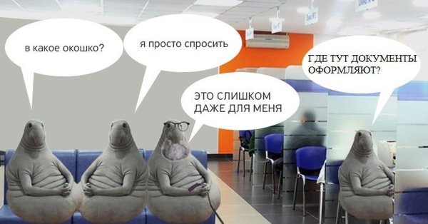 Ждун в очереди в поликлинике