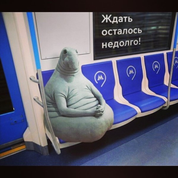 Ждуны в аэропорту