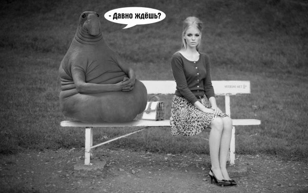 Ждун девушка