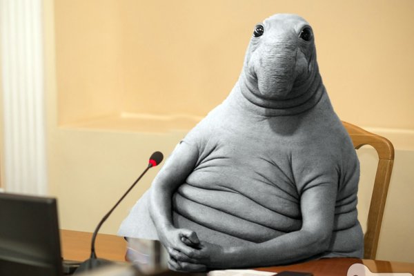 Много ждунов