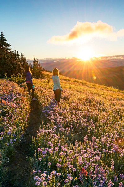 Вдохновляющая природа