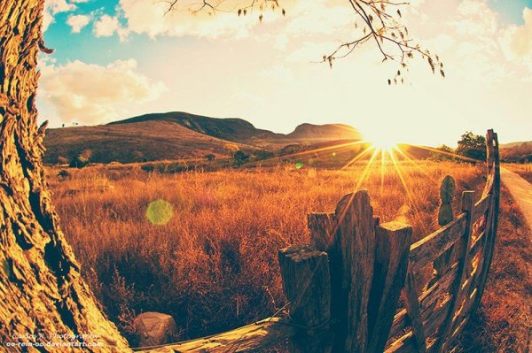 Атмосферное лето