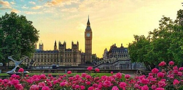 Растения в Лондоне