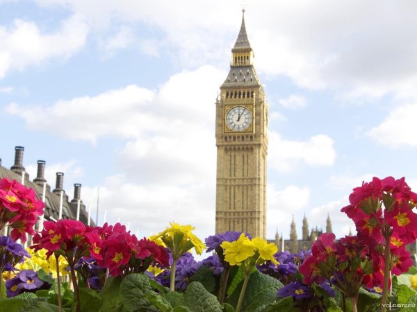 Биг Бен парк
