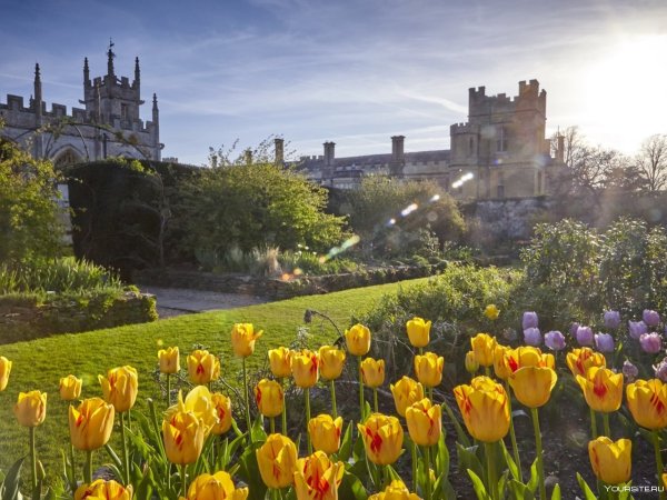 Лето в Англии