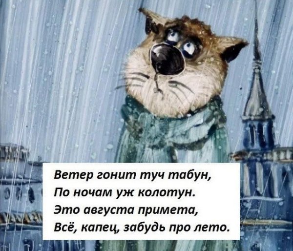 Август юмор