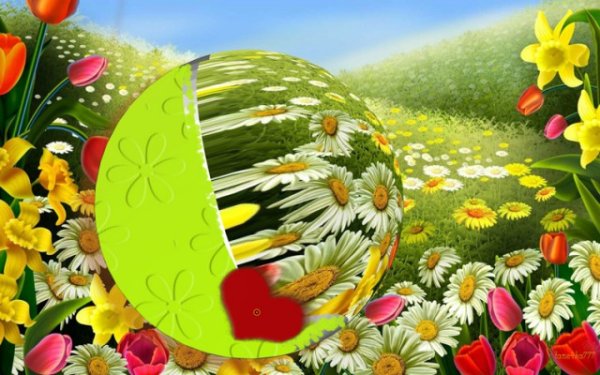 Катись к лето