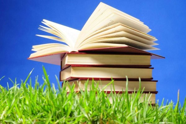 Книга летом