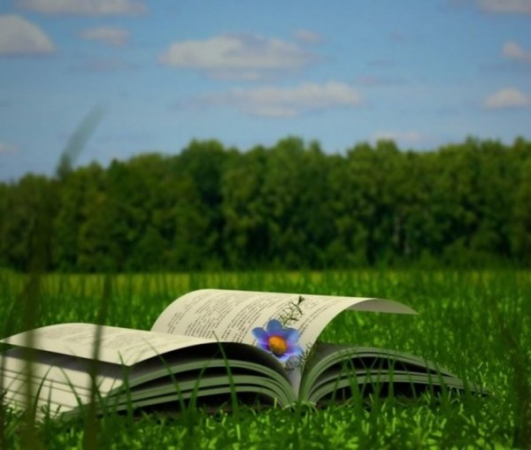 Книга на траве