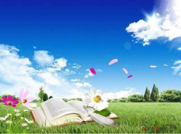 Лето с книгой