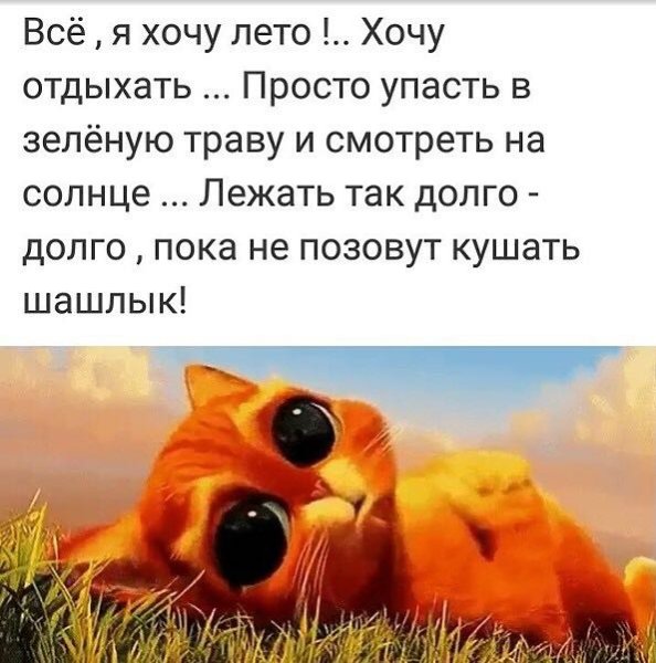 Все хочу лето