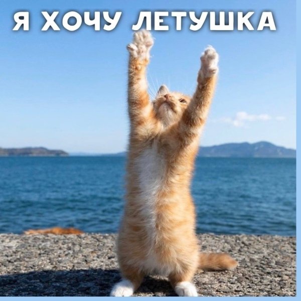 Хочу быстрее лето