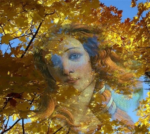 Бабье лето Отшумело отзвенело бабье лето