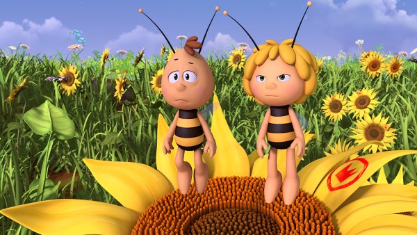 Цветочное поле мульт