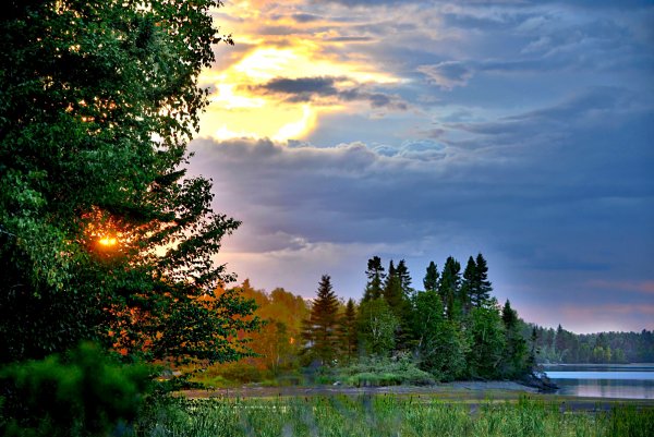 Закат в лесу летом