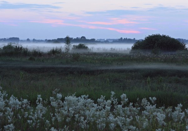 Летние утренние Сумерки природа