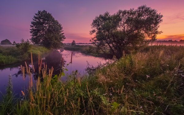 Вечерний пейзаж