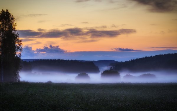 Сумерки в поле