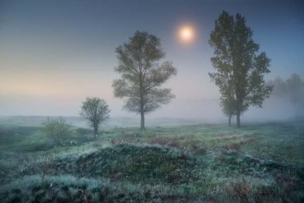 Утренние Сумерки