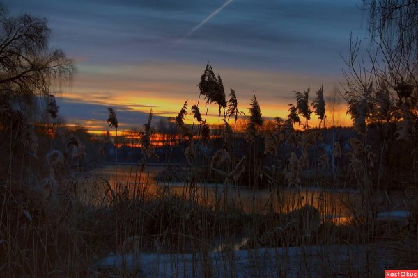 Предрассветные Сумерки