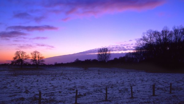 Сумерки в поле
