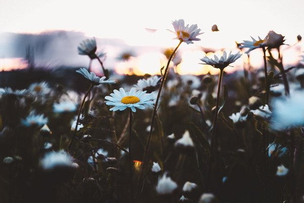 Эстетика лета