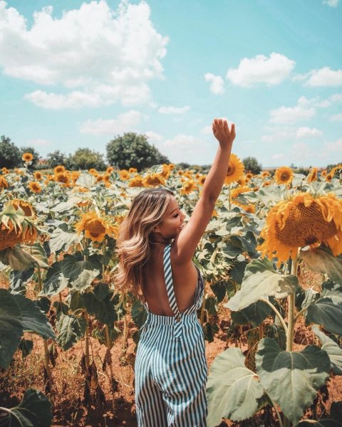 Лето Эстетика