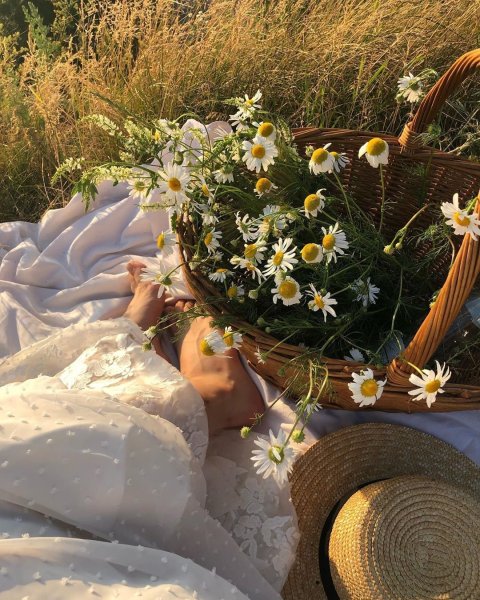 Эстетика лета