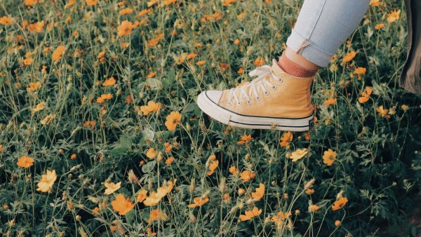 Эстетика лета