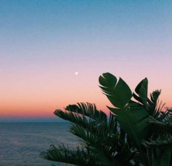 Эстетика летом