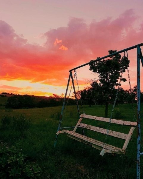 Эстетика природы лето