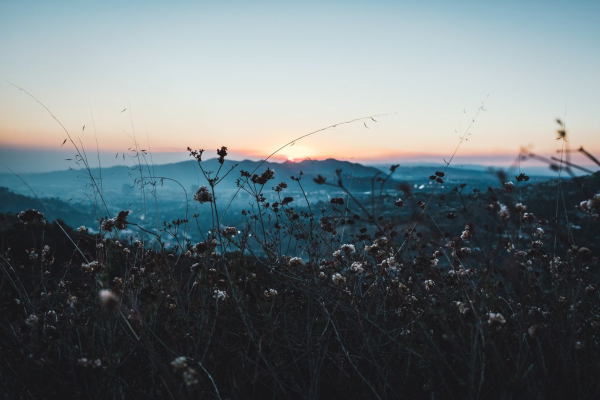 Лето Вдохновение