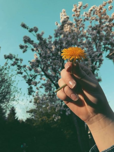 Летняя фотосессия Эстетика