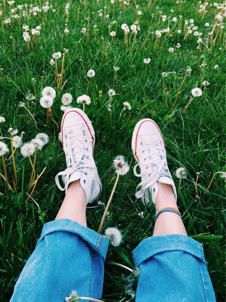 Поле ромашек