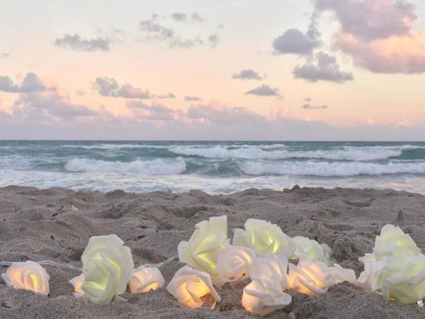 Лето Эстетика