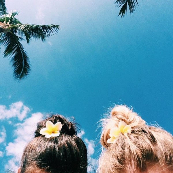 Пальмы розовое небо