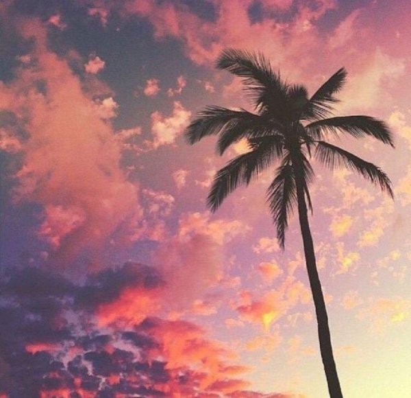 Лето Эстетика