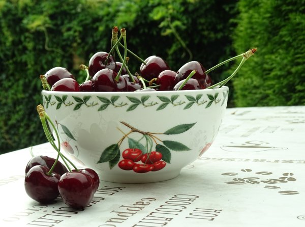 Вишня кистевая