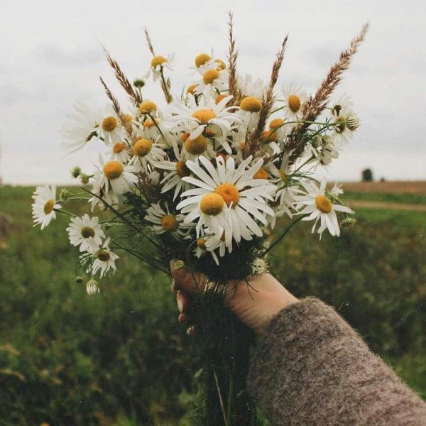 Cottagecore Эстетика