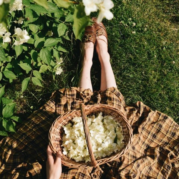 Лето Эстетика