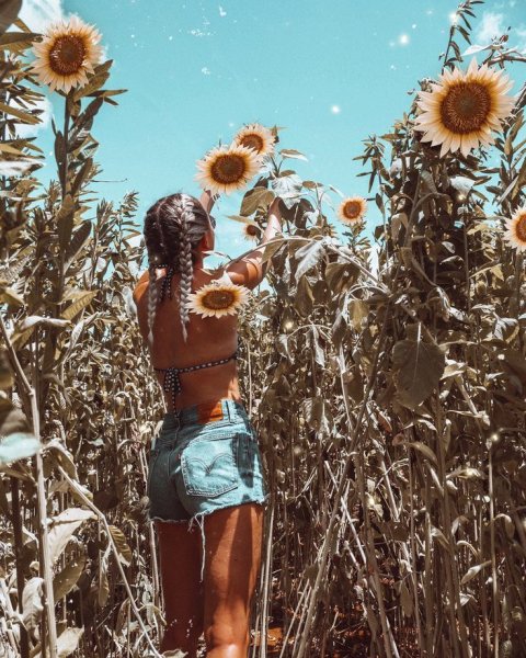 Эстетика природы летом