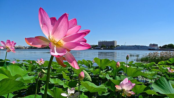 Театральный парк Астрахань