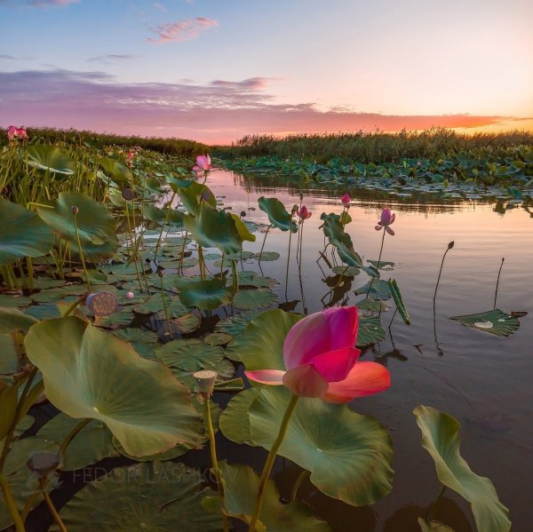 Астрахань достопримечательности