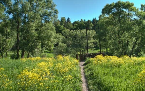 Времена года лето