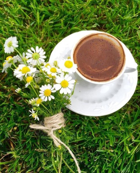 Ромашки и кофе